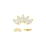 5 marquise